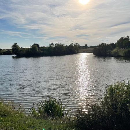 Confortable Ville A Deux Pas De Toulouse Tournefeuille Exteriör bild